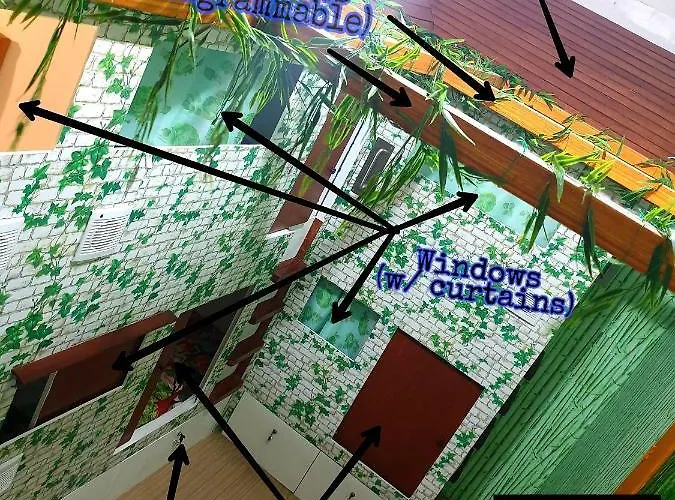 Gardenpod + Cafe